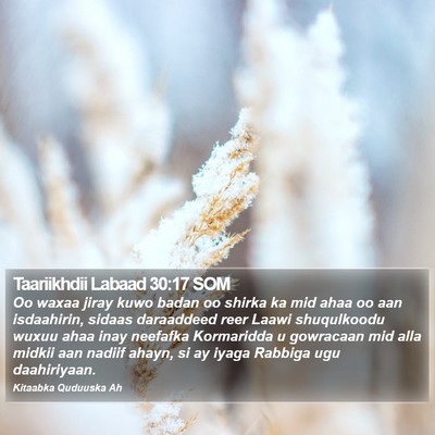 Taariikhdii Labaad 30:17 SOM Bible Verse Image
