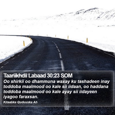 Taariikhdii Labaad 30:23 SOM Bible Verse Image