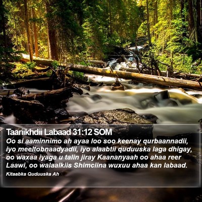 Taariikhdii Labaad 31:12 SOM Bible Verse Image