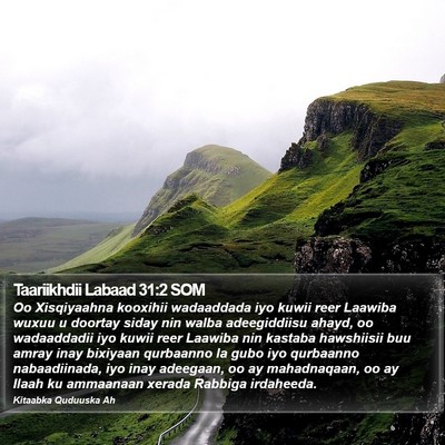 Taariikhdii Labaad 31:2 SOM Bible Verse Image