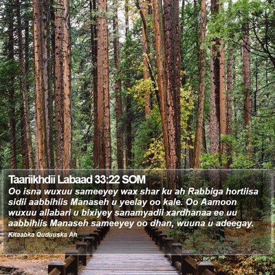 Taariikhdii Labaad 33:22 SOM Bible Verse Image