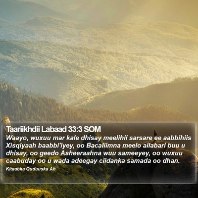 Taariikhdii Labaad 33:3 SOM Bible Verse Image