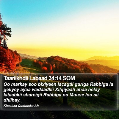Taariikhdii Labaad 34:14 SOM Bible Verse Image