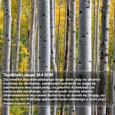 Taariikhdii Labaad 34:4 SOM Bible Verse Image