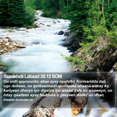 Taariikhdii Labaad 35:13 SOM Bible Verse Image