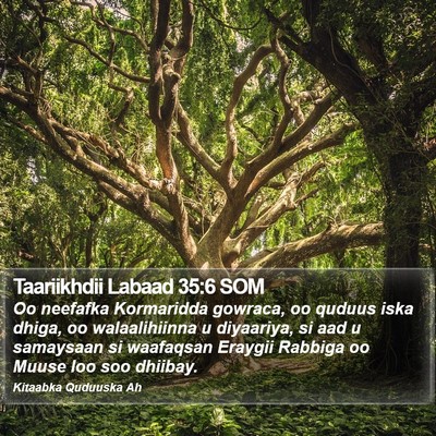Taariikhdii Labaad 35:6 SOM Bible Verse Image