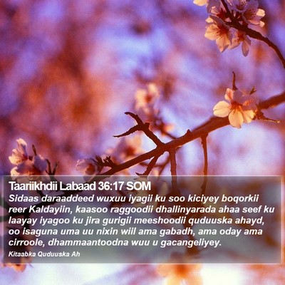 Taariikhdii Labaad 36:17 SOM Bible Verse Image