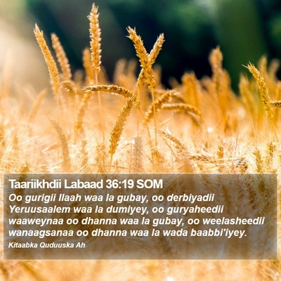 Taariikhdii Labaad 36:19 SOM Bible Verse Image