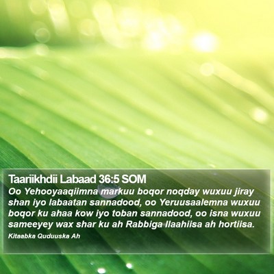 Taariikhdii Labaad 36:5 SOM Bible Verse Image