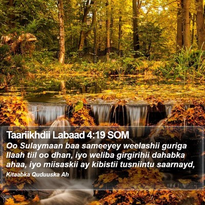 Taariikhdii Labaad 4:19 SOM Bible Verse Image