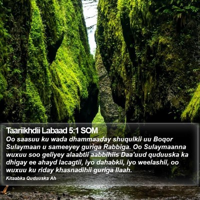 Taariikhdii Labaad 5:1 SOM Bible Verse Image