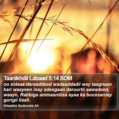 Taariikhdii Labaad 5:14 SOM Bible Verse Image