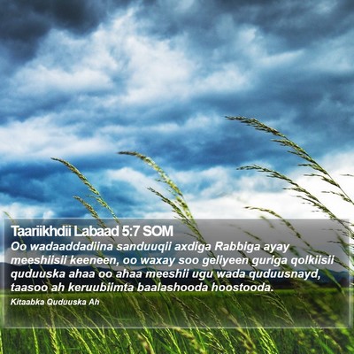 Taariikhdii Labaad 5:7 SOM Bible Verse Image