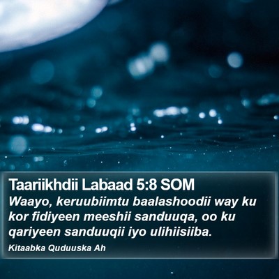Taariikhdii Labaad 5:8 SOM Bible Verse Image