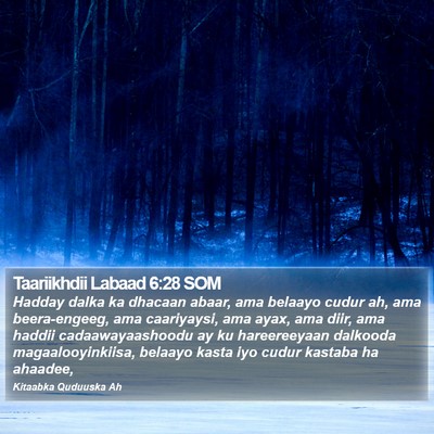 Taariikhdii Labaad 6:28 SOM Bible Verse Image