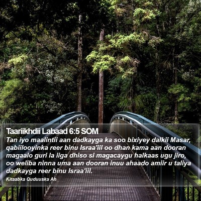 Taariikhdii Labaad 6:5 SOM Bible Verse Image