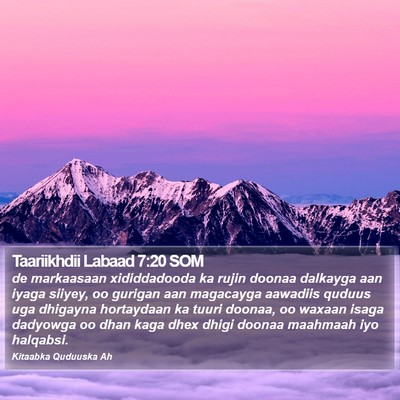 Taariikhdii Labaad 7:20 SOM Bible Verse Image