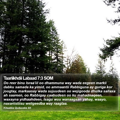 Taariikhdii Labaad 7:3 SOM Bible Verse Image