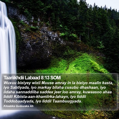 Taariikhdii Labaad 8:13 SOM Bible Verse Image
