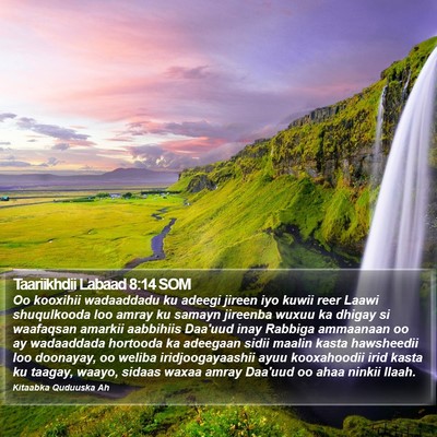 Taariikhdii Labaad 8:14 SOM Bible Verse Image