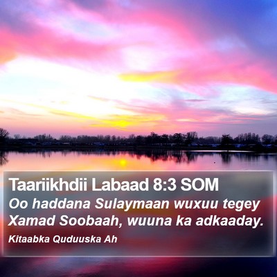 Taariikhdii Labaad 8:3 SOM Bible Verse Image