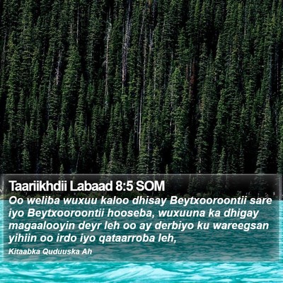 Taariikhdii Labaad 8:5 SOM Bible Verse Image