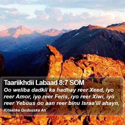Taariikhdii Labaad 8:7 SOM Bible Verse Image