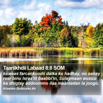 Taariikhdii Labaad 8:8 SOM Bible Verse Image