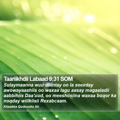 Taariikhdii Labaad 9:31 SOM Bible Verse Image