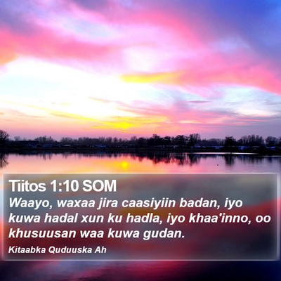 Tiitos 1:10 SOM Bible Verse Image
