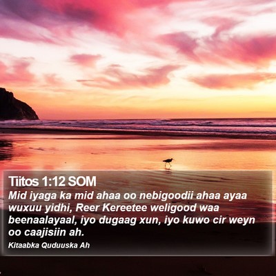 Tiitos 1:12 SOM Bible Verse Image
