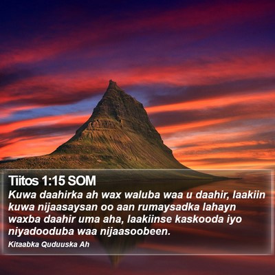 Tiitos 1:15 SOM Bible Verse Image