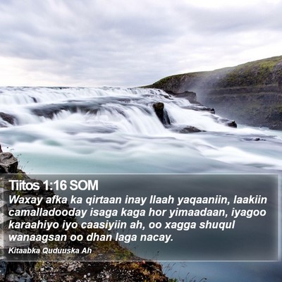 Tiitos 1:16 SOM Bible Verse Image