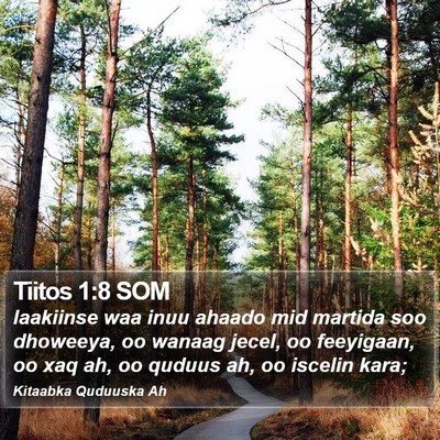 Tiitos 1:8 SOM Bible Verse Image