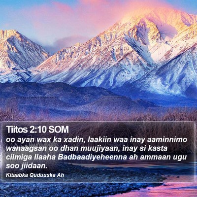 Tiitos 2:10 SOM Bible Verse Image