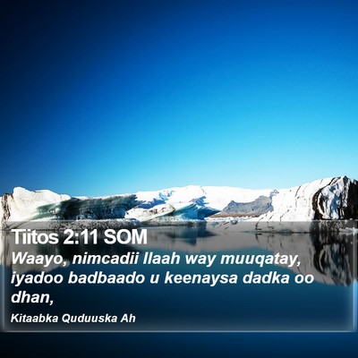 Tiitos 2:11 SOM Bible Verse Image