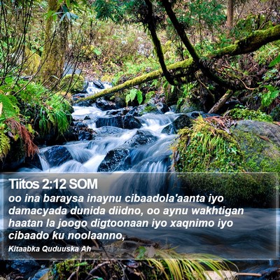Tiitos 2:12 SOM Bible Verse Image