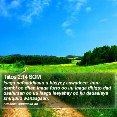 Tiitos 2:14 SOM Bible Verse Image