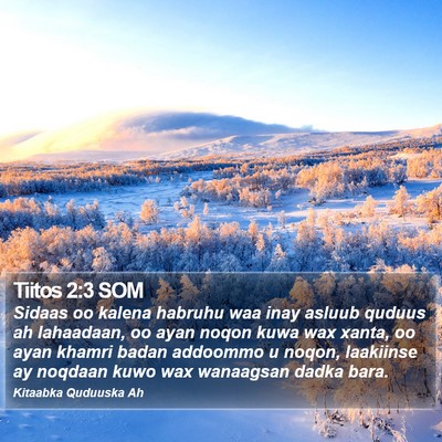 Tiitos 2:3 SOM Bible Verse Image