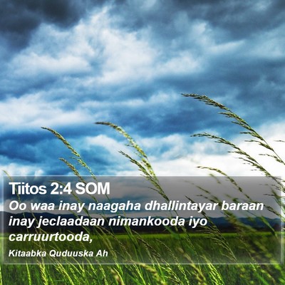 Tiitos 2:4 SOM Bible Verse Image