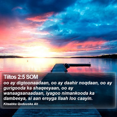 Tiitos 2:5 SOM Bible Verse Image