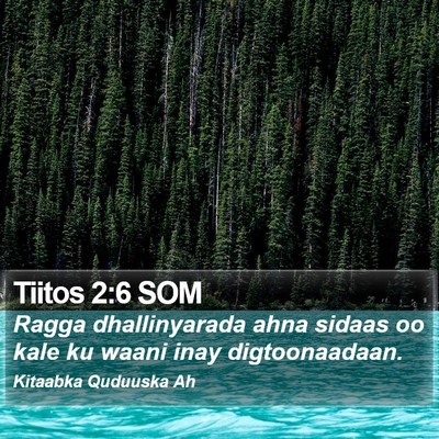 Tiitos 2:6 SOM Bible Verse Image