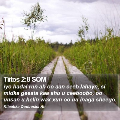 Tiitos 2:8 SOM Bible Verse Image