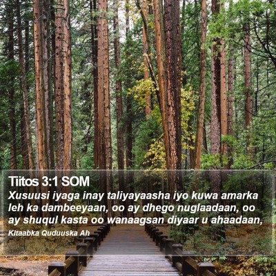 Tiitos 3:1 SOM Bible Verse Image