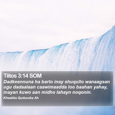 Tiitos 3:14 SOM Bible Verse Image