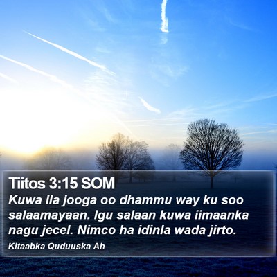 Tiitos 3:15 SOM Bible Verse Image