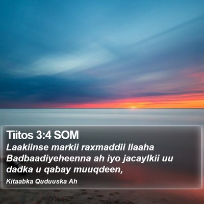 Tiitos 3:4 SOM Bible Verse Image