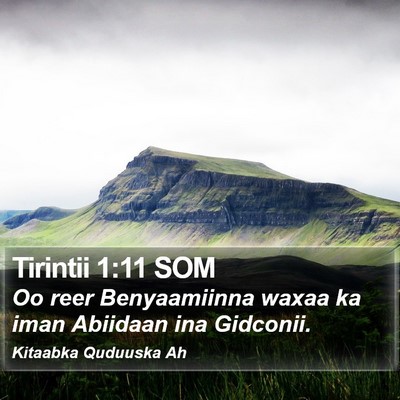 Tirintii 1:11 SOM Bible Verse Image