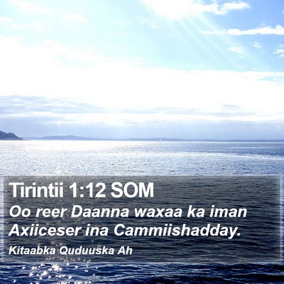 Tirintii 1:12 SOM Bible Verse Image