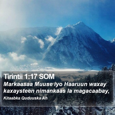 Tirintii 1:17 SOM Bible Verse Image